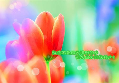 温清芸傅泽川小说名字 心火燃尽泪成灰章节试读