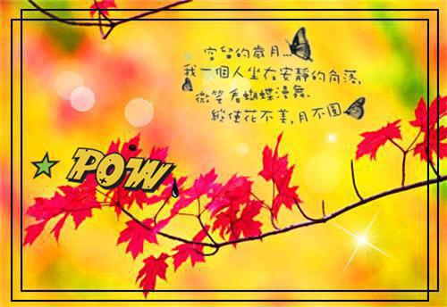贺星竹申悦全文免费大结局 贺星竹申悦小说在线阅读