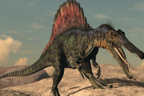 十大最强恐龙排名，第一比霸王龙更厉害，西雅茨龙上榜