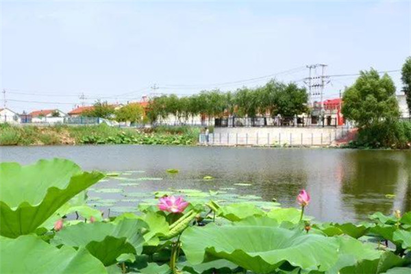 湖南十大乡镇排行榜：安江镇上榜，第三有黄花机场