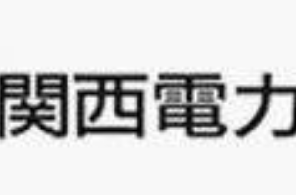 日本四大电力公司排行榜:东京电力仅排第二,第一名是它