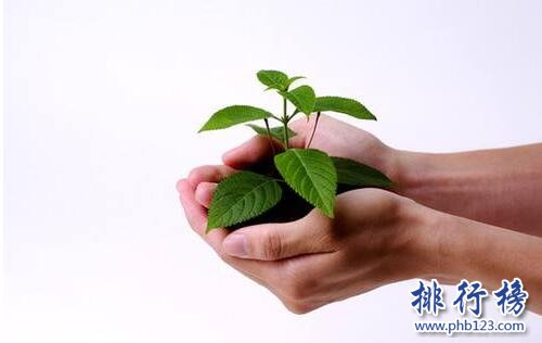 2017郑州市保险公司排名，河南郑州50家最好的保险公司