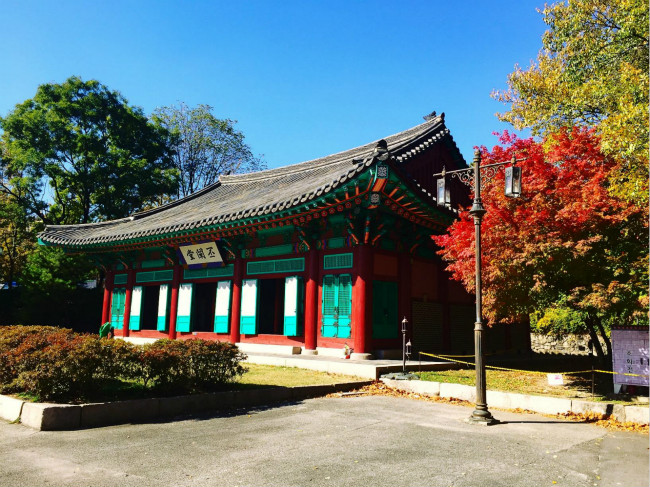 2018年韩国成均馆大学世界排名 留学费用
