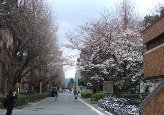 2018年日本京都大学世界排名 留学费用