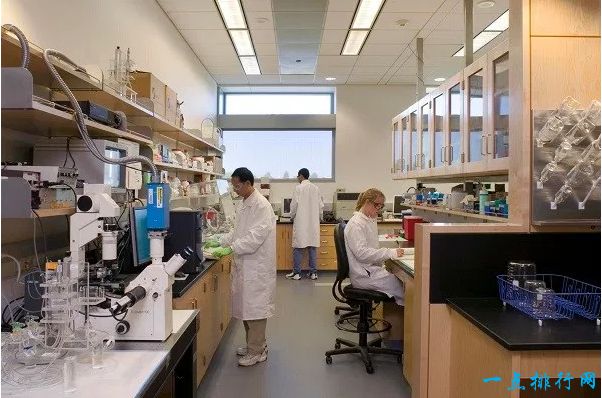 医疗保健领域十大最高薪酬的工作排行榜   牙医年薪70000美元+