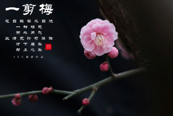 十大经典宋词赏析：虞美人上榜，你会几首宋词？