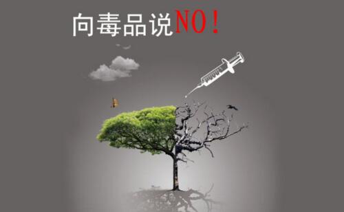 毒品的危害,家破人亡是吸毒的结局(毒品衍生犯罪)