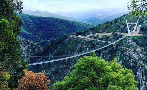 世界最长的人行吊桥：“阿罗卡516”吊桥