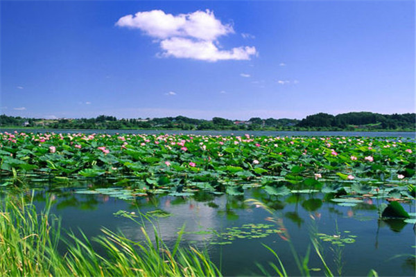 中山十大公园景区排行榜：湿地公园就有三个，中山公园也上榜