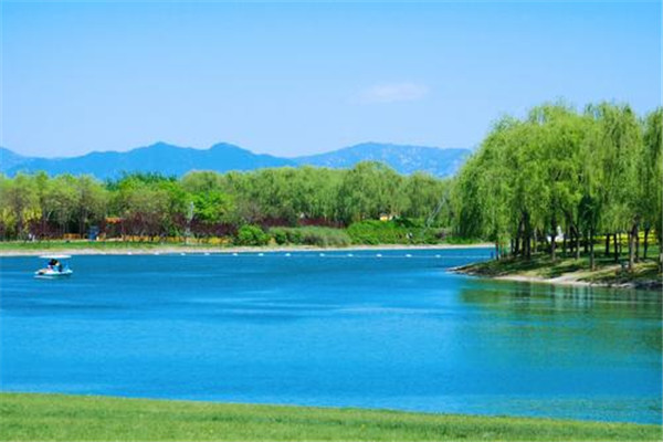 顺义旅游必去景点排行榜：唐指山风景区第3 第4采摘樱桃