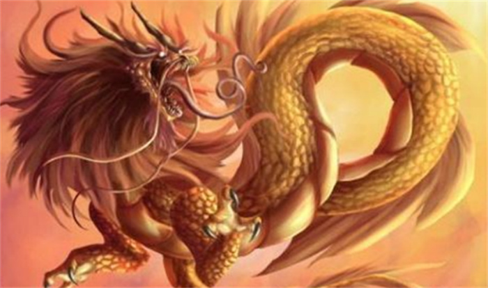 什么生肖有领导能力（龙虎）