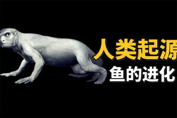 人类是由鱼进化的吗