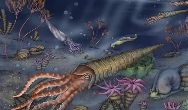 第六次生物灭绝即将到来？因为人类的缘故，地球正在发生巨大变化