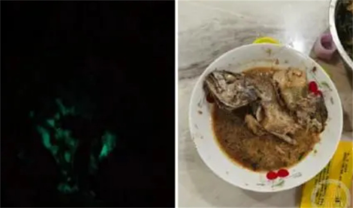 大妈买海鱼红烧后半夜发出绿光