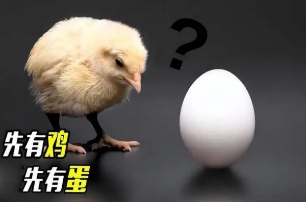 先有鸡还是先有蛋 世界难题有了解答（生命难题）