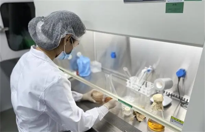 生物实验室是干嘛的 为啥会让普通人害怕（生物实验）