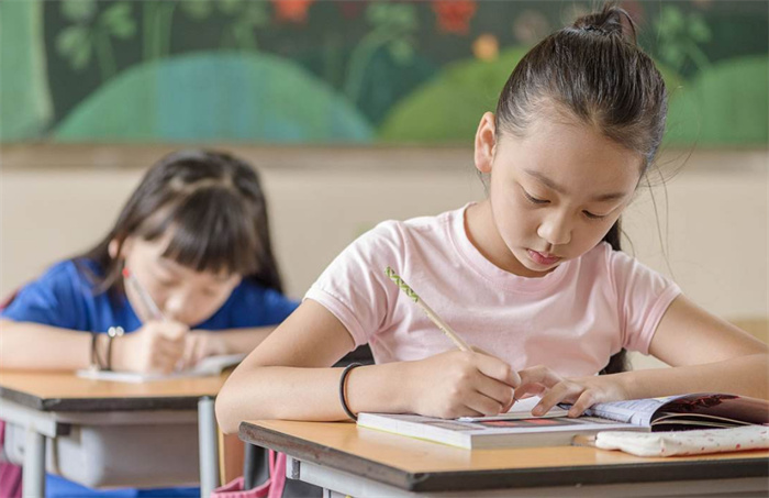 2024年学习好的生肖 有着翻身的希望（学业进步）