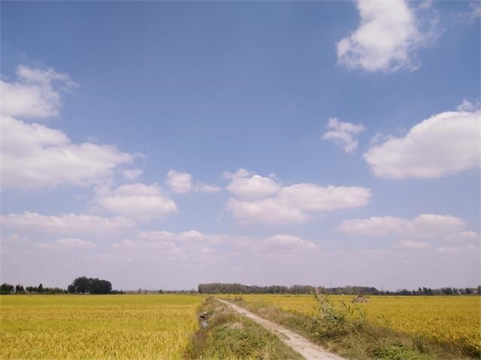 大禹治水在哪里  夏王朝在哪里 遂公盨终于破解中华文明诞生之地