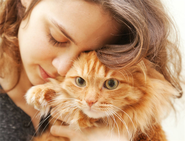 世界上体型最小的猫 重量只有两公斤（最小猫咪）