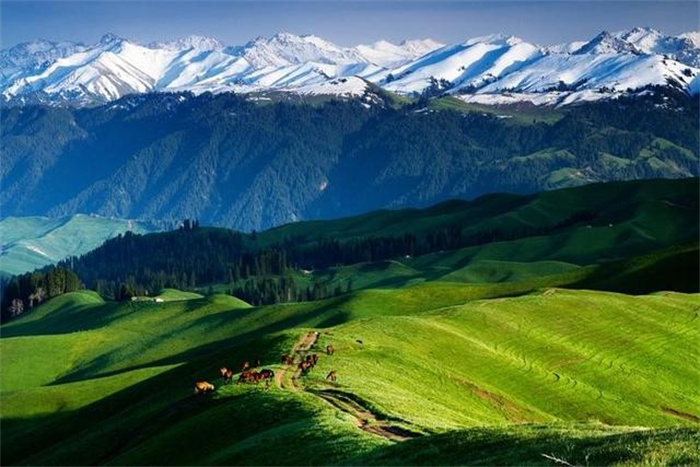 世界七大山系  天山为何排在第一