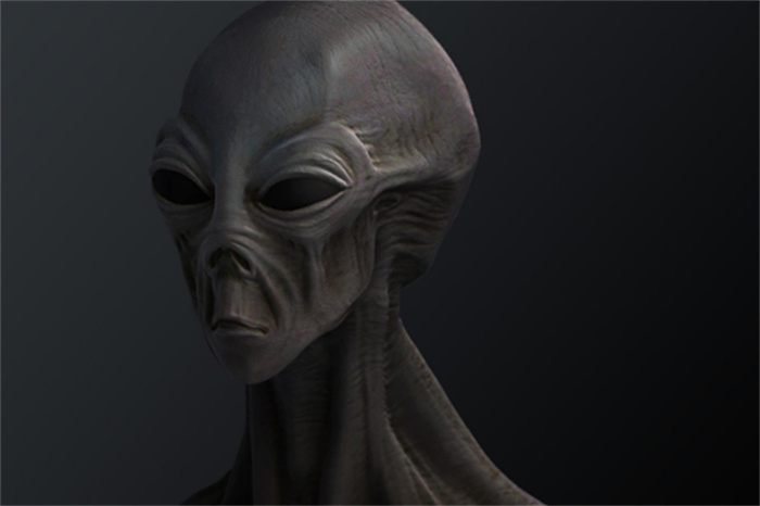 人类一直在寻找的外星人 可能长什么模样（外星人）