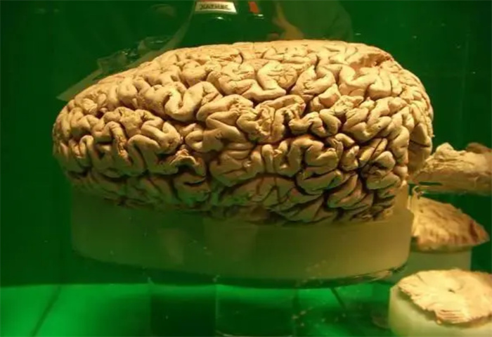 曼德拉效应  正在篡改人类的记忆  太可怕
