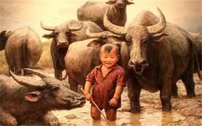 历经磨难先苦后甜的4个生肖，人生如茶，苦后回甘！