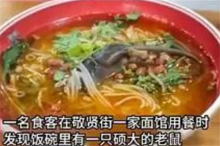 顾客吃面发现自己碗里有完整死老鼠 面碗中有死老鼠