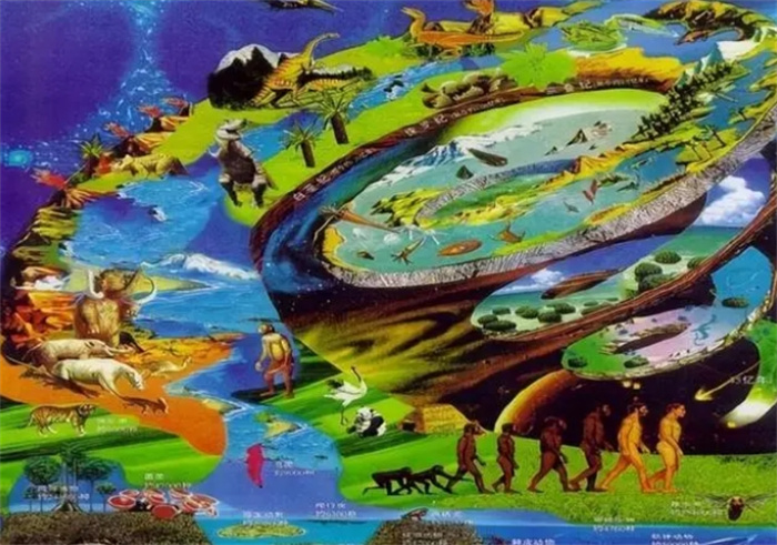 地球生物很像刻意的安排，人类的出现更是奇怪，探索地球生物演化