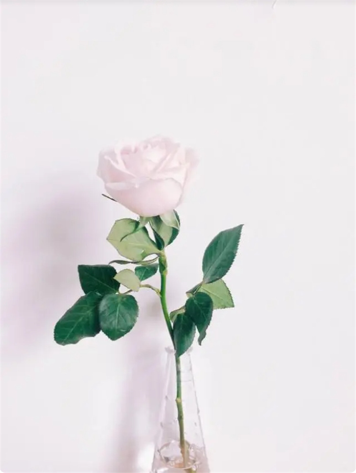 生肖鸡：以下几个时辰出生的子女最好命，注定人中龙凤，是你吗？
