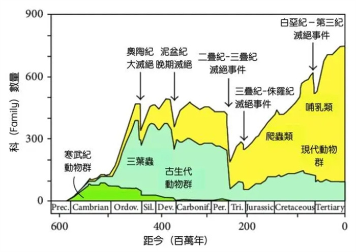 灭绝是可以预测的？在多数大灭绝发生前，都经历过一个相同的事件