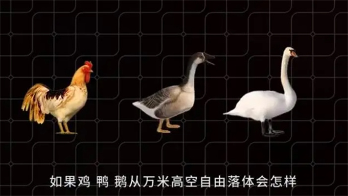 若将鸡、鸭、鹅从万米高空扔下，做自由落体运动，能安全着陆吗？