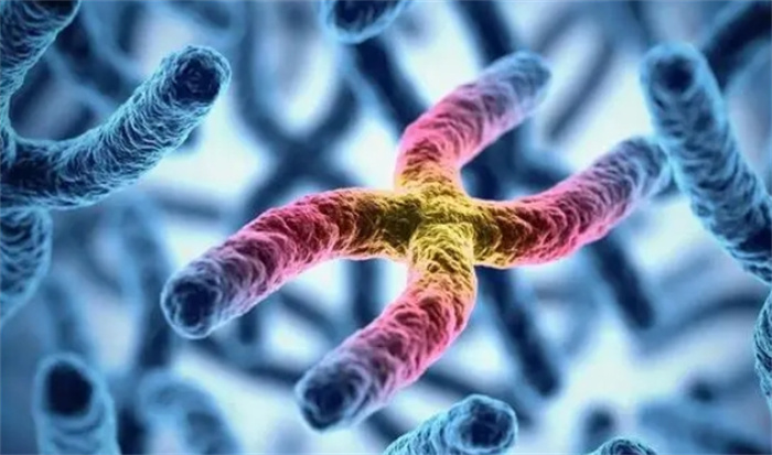 人类20号染色体上，刻着一个禁令？朊病毒究竟有何秘密？