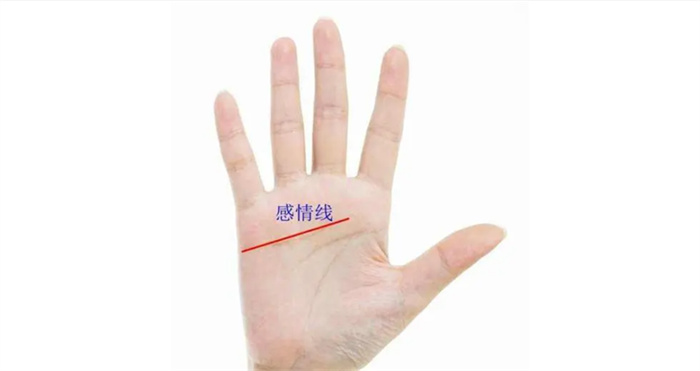 手相中哪条线是感情线 附图解