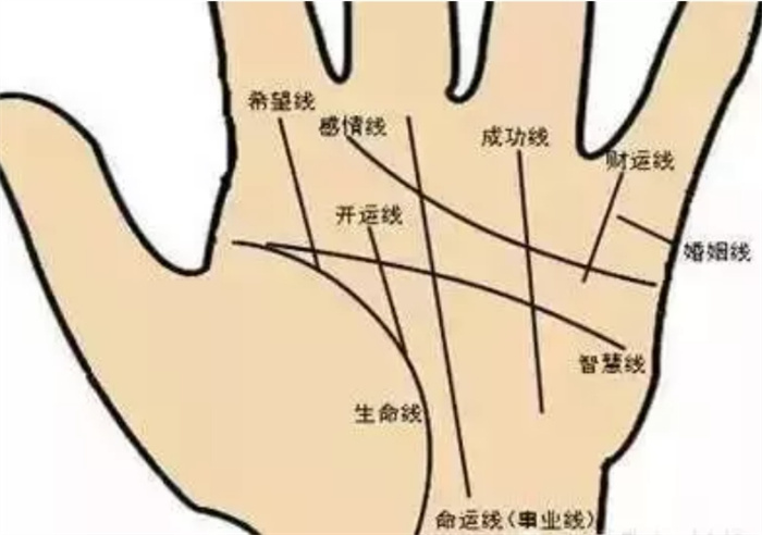 先天运势出色工作稳定的手相