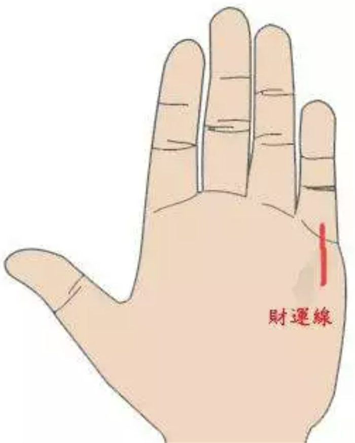 擅长理财的手相是什么样的？