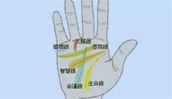女生手相五大主线图解大全