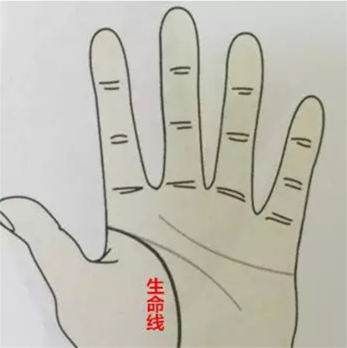 手相生命线长寿命就一定长吗