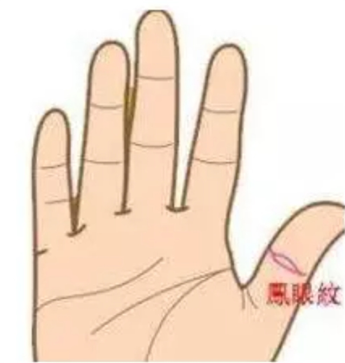 手相中有佛眼纹有什么说法