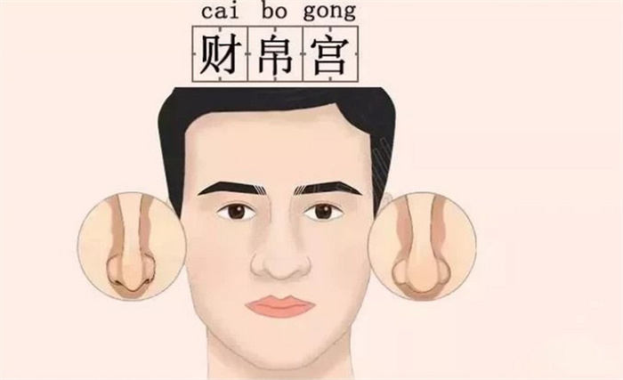 面相财帛宫 从鼻子看你一生贫富