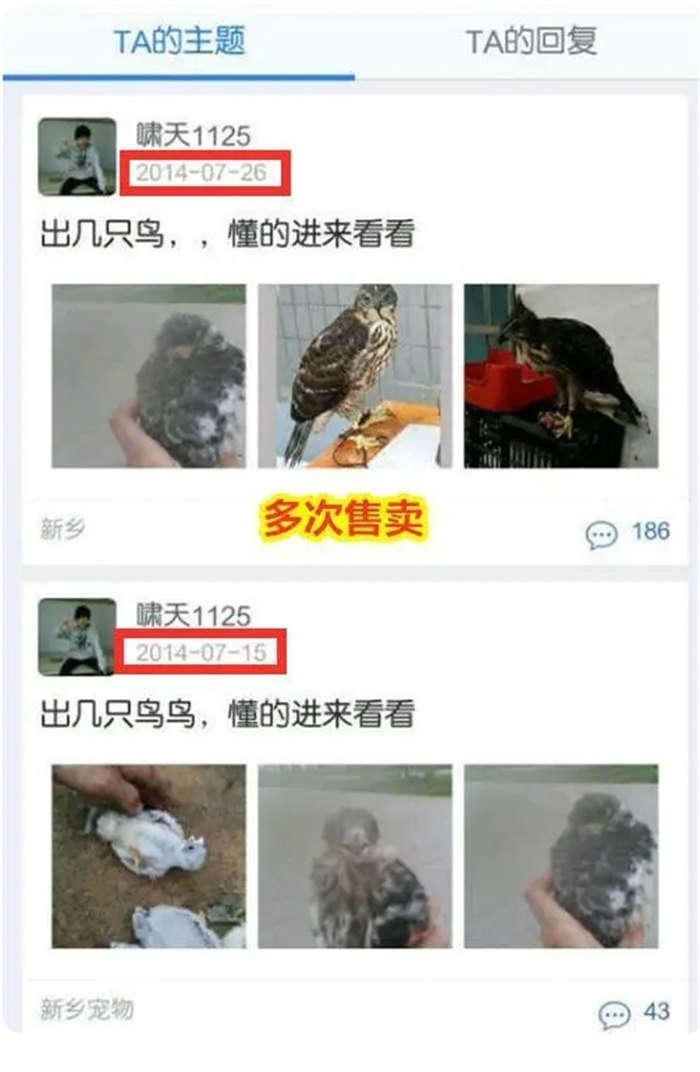 “掏鸟案”闫啸天出狱被指太高调，他何德何能被当成英雄凯旋归来