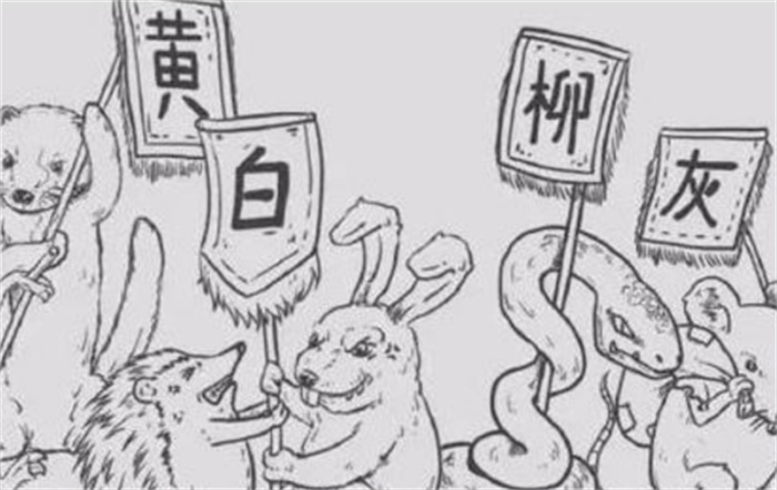 五大仙分别是保佑什么的 五大仙家（狐黄白柳灰）