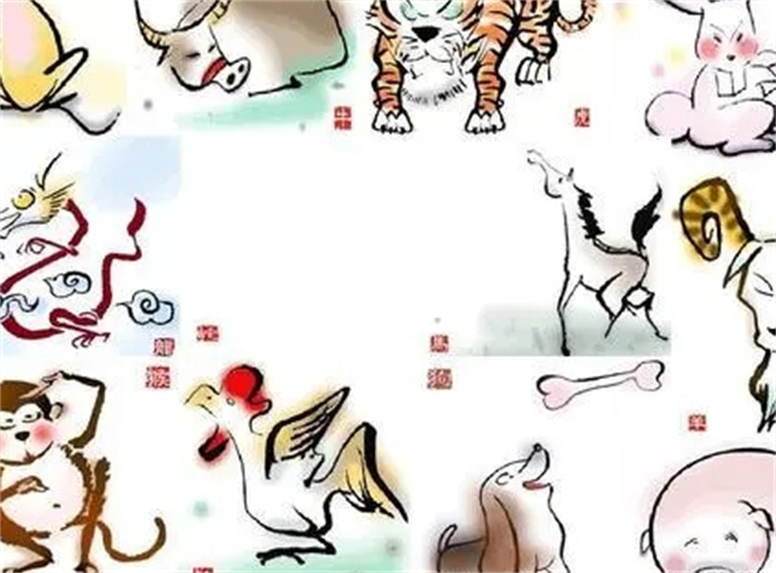 你真的了解生肖吗？生肖的起源，影响和好处是怎样的，快来看看吧