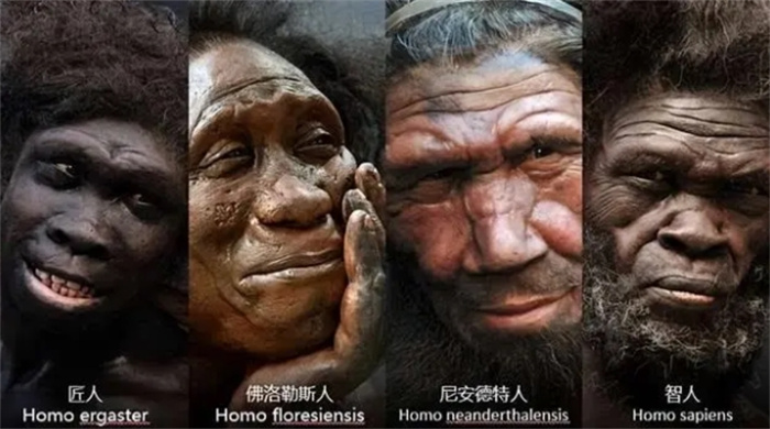 人类是外星移民物种？列举七个不符合地球环境的特征，反思进化论