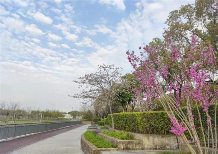 学会迎难而上的生肖 千万不要自暴自弃（努力生肖）