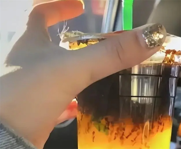 不可思议 顾客买到满杯蚂蚁咖啡 店家的最新回复来了