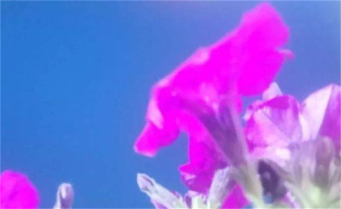 辰吉2023年6月运势：水瓶座恋爱中的射手