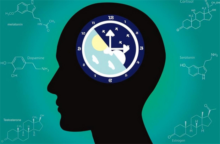 人体“生物钟”从何而来 研究发现 想要健康长寿 要重视它