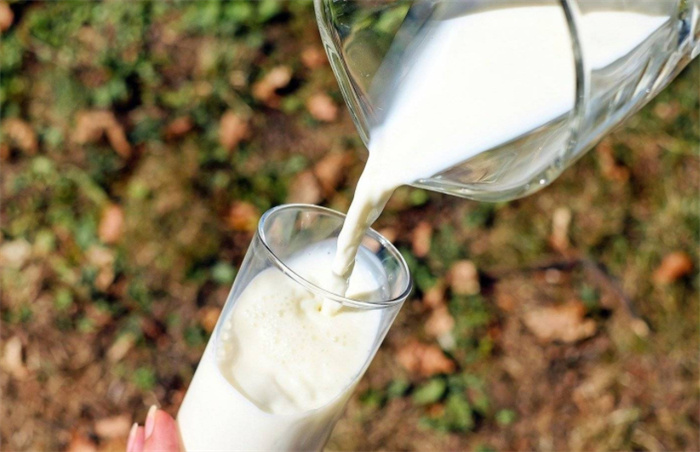 世界上有五千多种哺乳动物 为何人类在这些动物中选择了牛的奶