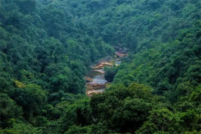世界上降水最多的地方 世界雨极乞拉朋齐（降水最多